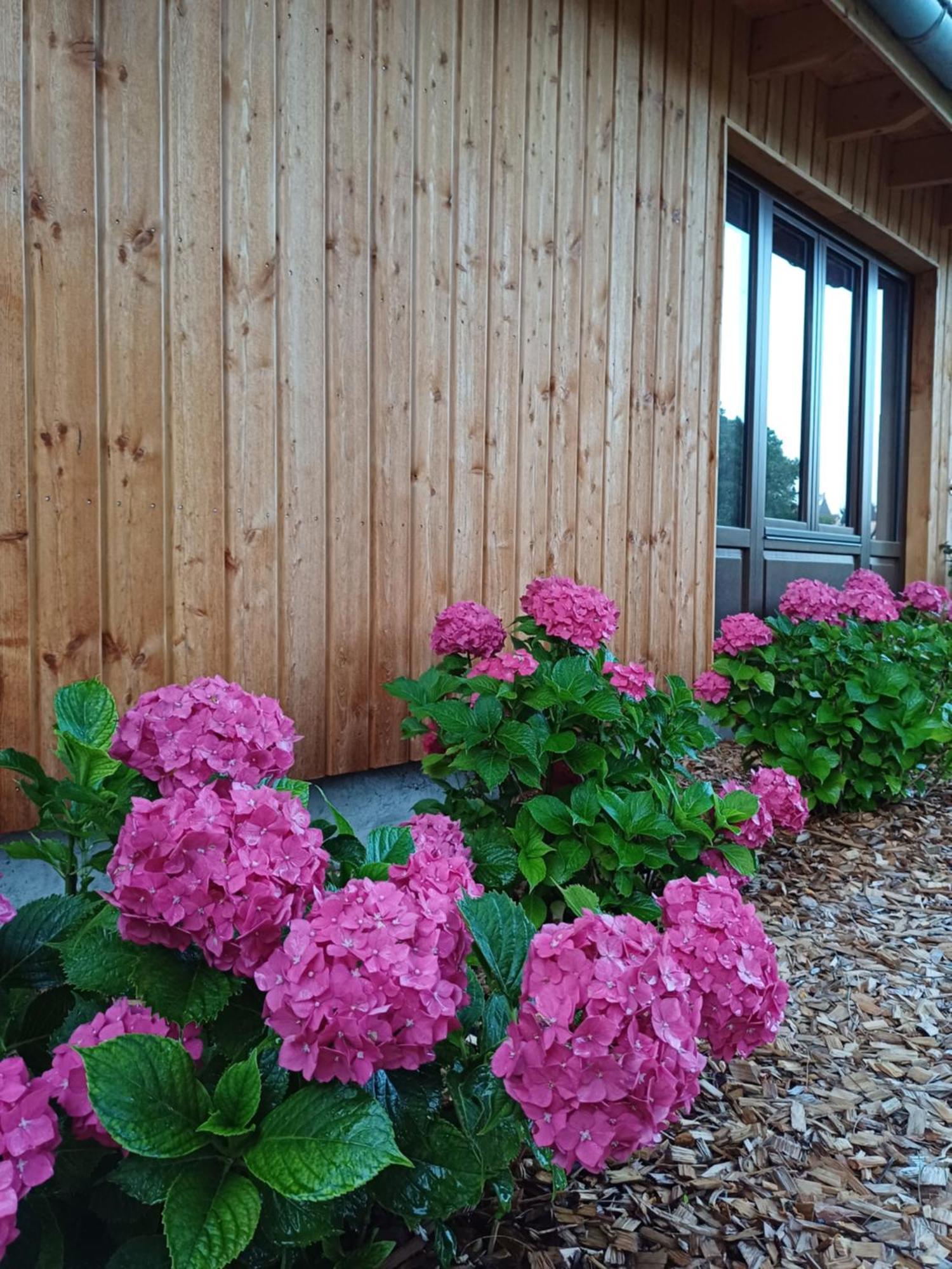 Les Cottages Du Chateau De Werde Matzenheim Exterior photo